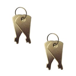 کلید نقرهای  کلید نقرهای