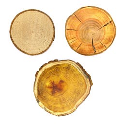 نمایش محصولات در دسته چوب کالباسی، اسلب، بلوک و اسلایس چوبی تصویر برای گروهچوب کالباسی، اسلب، بلوک و اسلایس چوبی