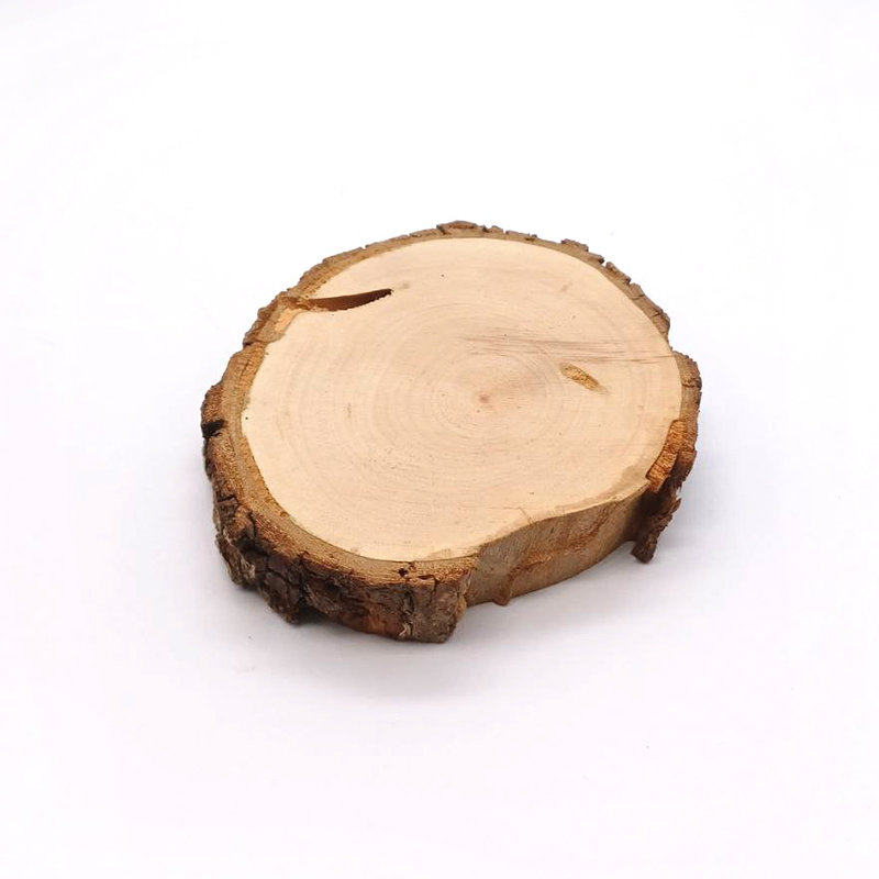 تصویر چوب کالباسی درخت گلابی قطر 9 سانتی‌متر