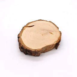 نمایش جزئیات برای چوب کالباسی درخت گلابی قطر 9 سانتیمتر تصویر چوب کالباسی درخت گلابی قطر 9 سانتیمتر