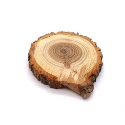 نمایش جزئیات برای چوب کالباسی درخت نارون قطر 9 سانتی متر تصویر چوب کالباسی درخت نارون قطر 9 سانتی متر