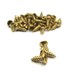 تصویر پیچ آنتیک طلایی قطر 2 طول 6 میلی‌متر بسته 200 عددی