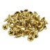 تصویر پیچ آنتیک طلایی قطر 2.5 طول 7 میلی‌متر بسته 50 گرمی