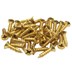 تصویر پیچ آنتیک طلایی قطر 2.5 طول 10 میلی متر بسته 100 عددی