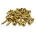 تصویر پیچ آنتیک طلایی قطر 3 طول 10 میلی‌متر بسته 50 گرمی