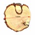 چوب کالباسی درخت گز قطر 10.5 سانتی‌متر, تصویر 6