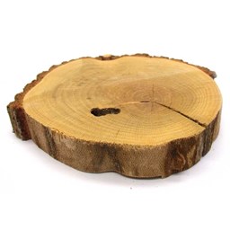 چوب کالباسی درخت گز قطر 13.5 سانتی‌متر