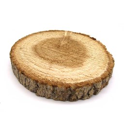 چوب کالباسی درخت توت قطر 7 سانتی‌متر