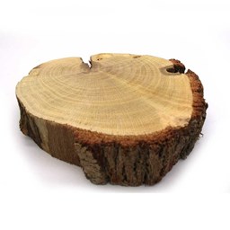 چوب کالباسی درخت گز قطر 10.5 سانتی‌متر
