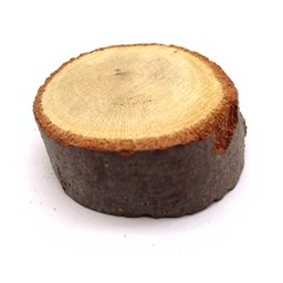 چوب کالباسی درخت گز قطر 6 سانتی‌متر