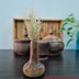تصویر گلدان چوبی منبت کاری ارتفاع 9 سانتی‌متر