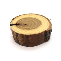چوب کالباسی درخت سنجد قطر 5 سانتی‌متر