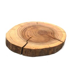 چوب کالباسی درخت اقاقیا قطر 15 سانتی‌متر