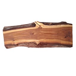 چوب خام سنجد طول 49 سانتی‌متر