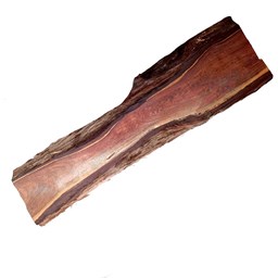 چوب خام کهور طول 70 سانتی‌متر