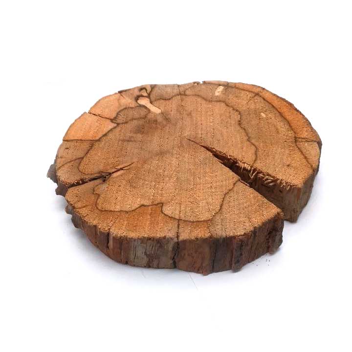 چوب کالباسی درخت گلابی کهنسال قطر 12 سانتی‌متر