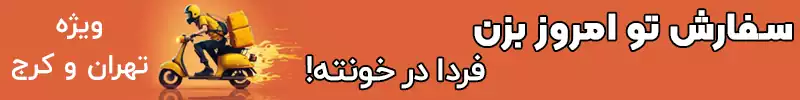 ارسال سریع